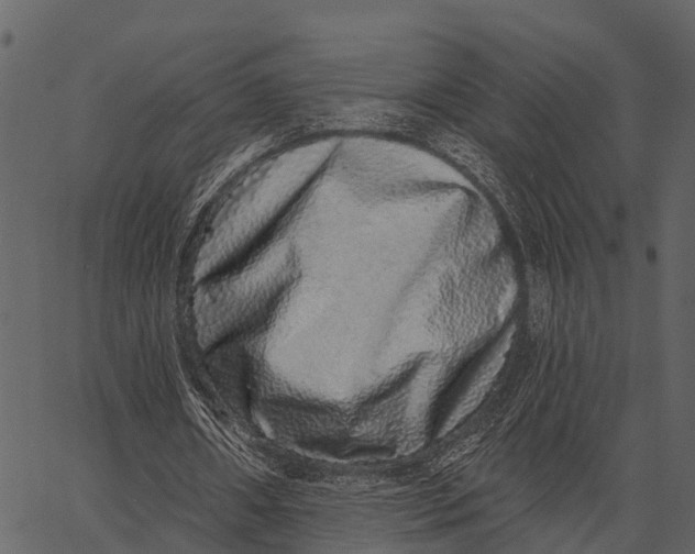 X0000062640482200601111130