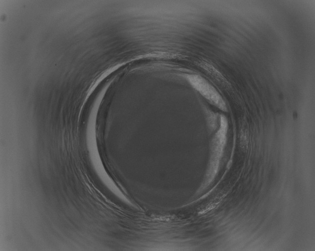 X0000062640484200601111130