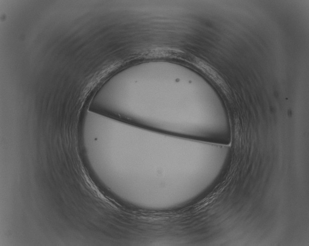 X0000062640485200601111130