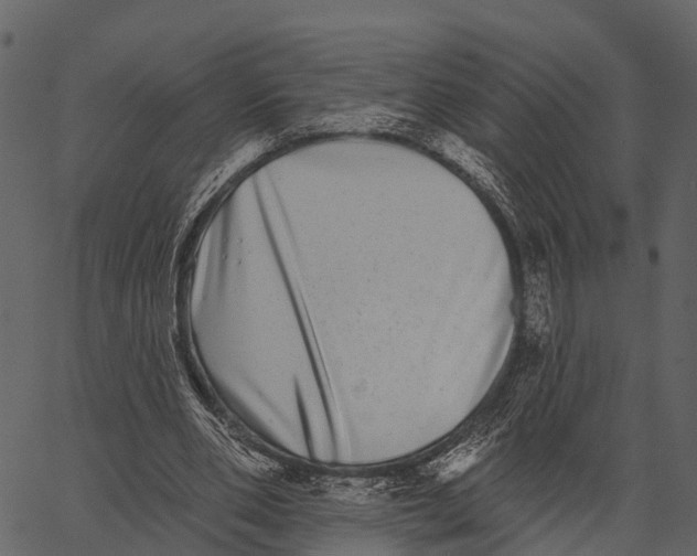 X0000062640486200601111130