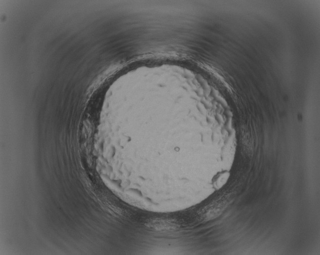 X0000062640487200601111129