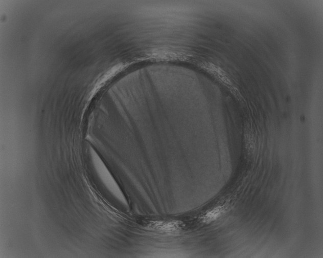 X0000062640488200601111129