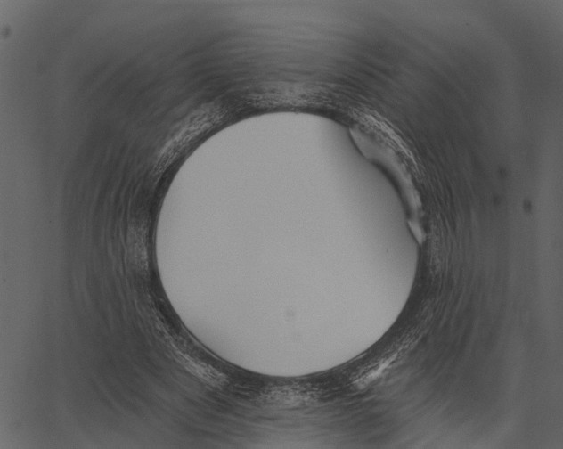 X0000062640489200601111129