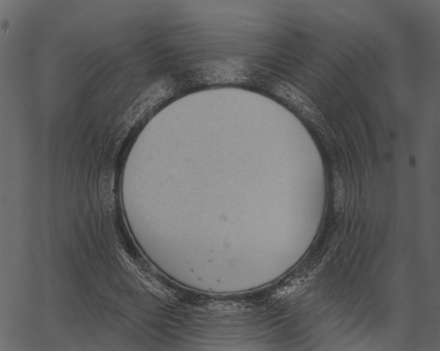 X0000062640490200601111129