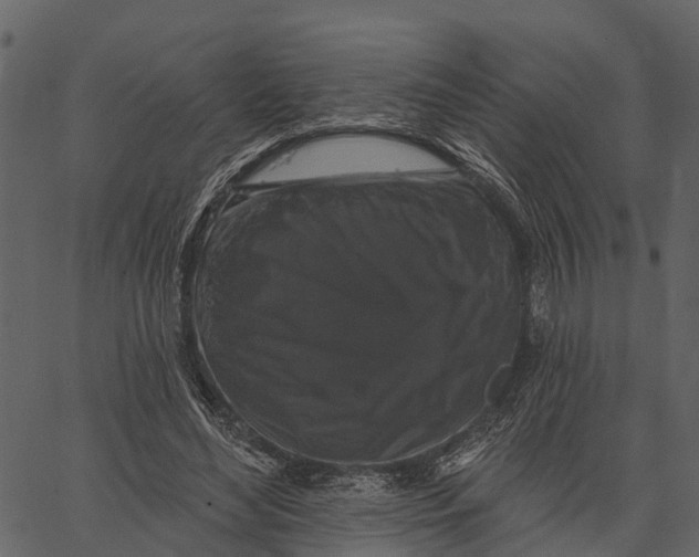 X0000062640492200601111129