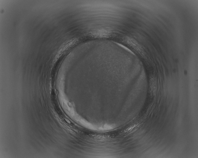 X0000062640494200601111129