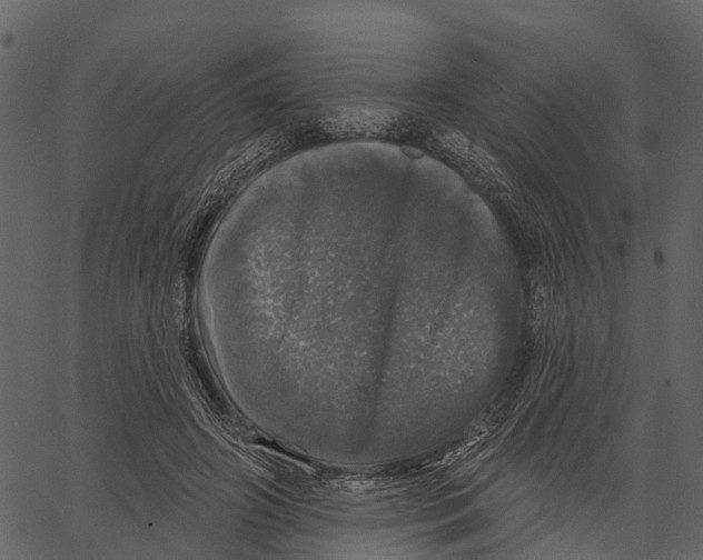 X0000062640498200601111129