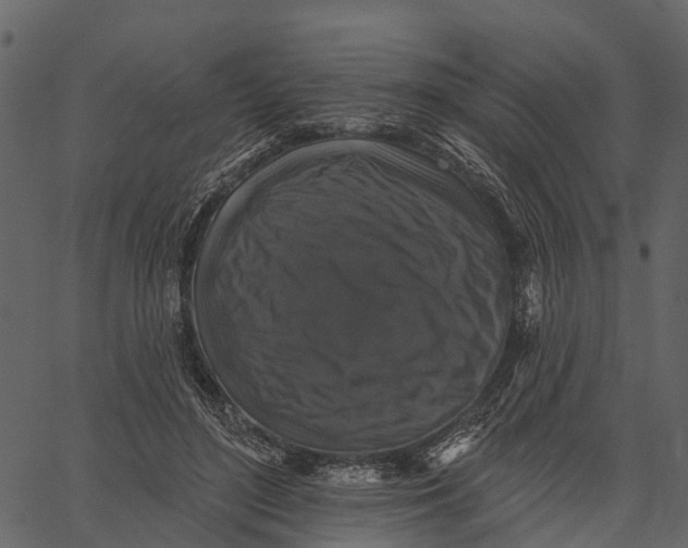 X0000062640500200601111129