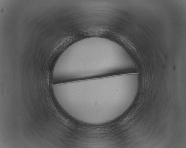 X0000062640501200601111129