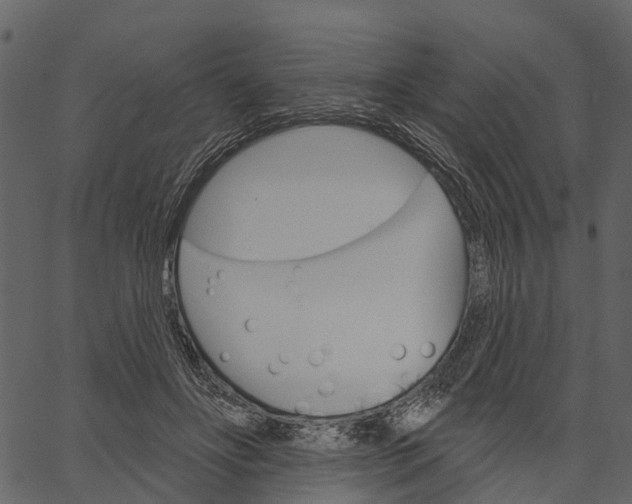 X0000062640502200601111129