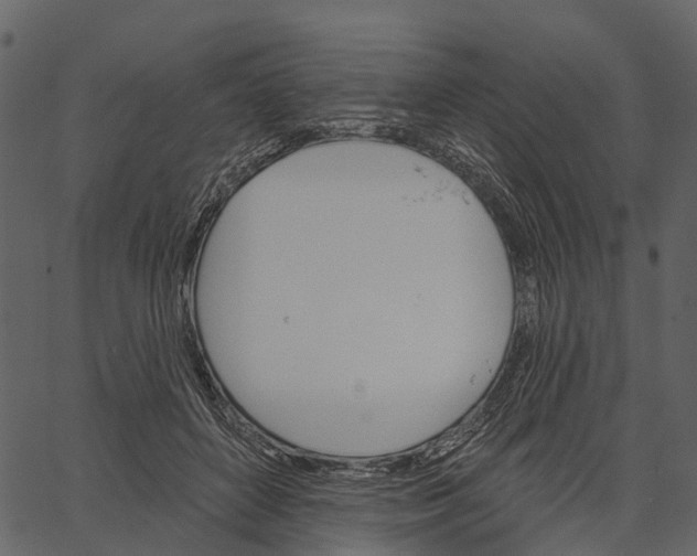 X0000062640504200601111129