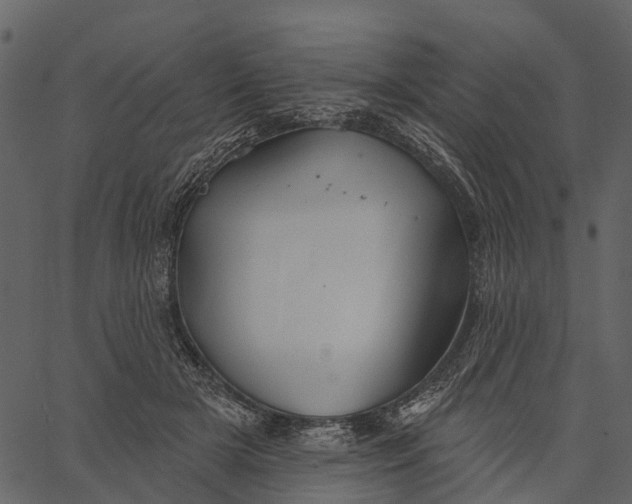 X0000062640505200601111129