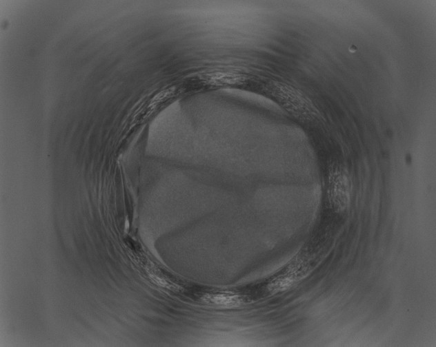 X0000062640506200601111129