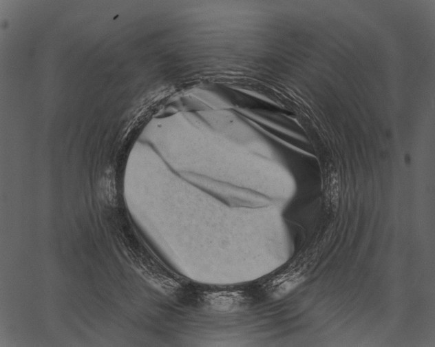 X0000062640508200601111129