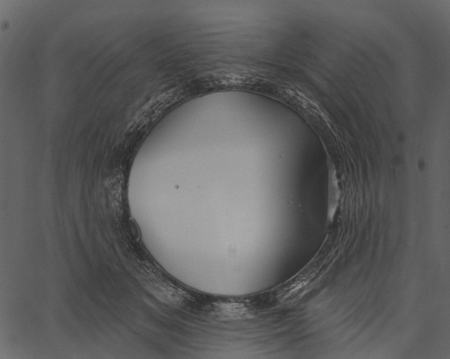 X0000062640509200601111129