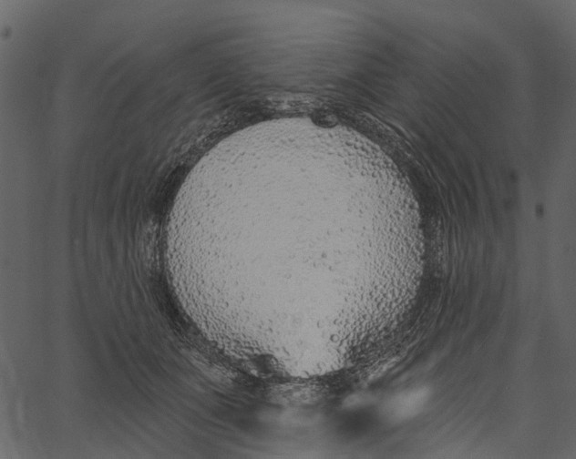 X0000062640511200601111129