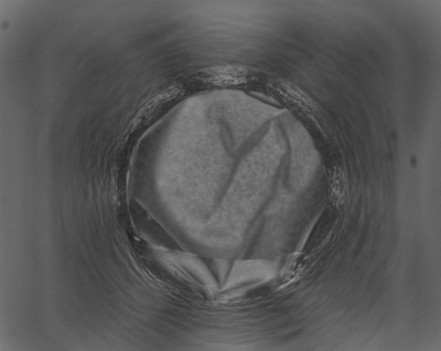 X0000062640512200601111129