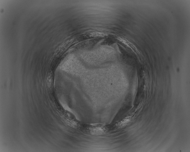 X0000062640513200601111129