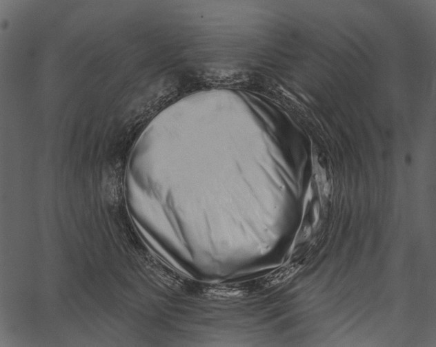 X0000062640515200601111129