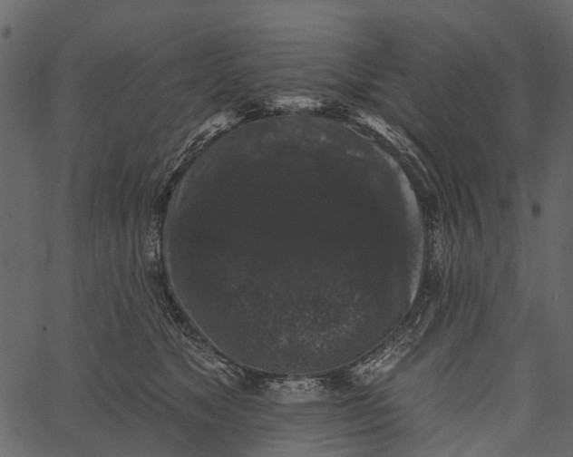 X0000062640517200601111129