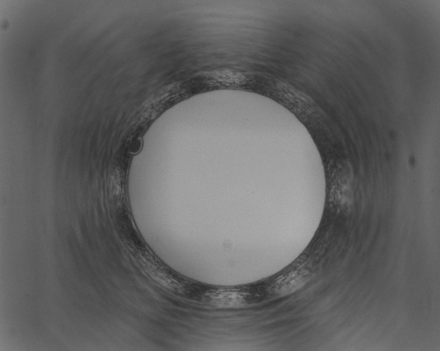 X0000062640518200601111129