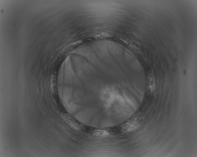 X0000062640519200601111129