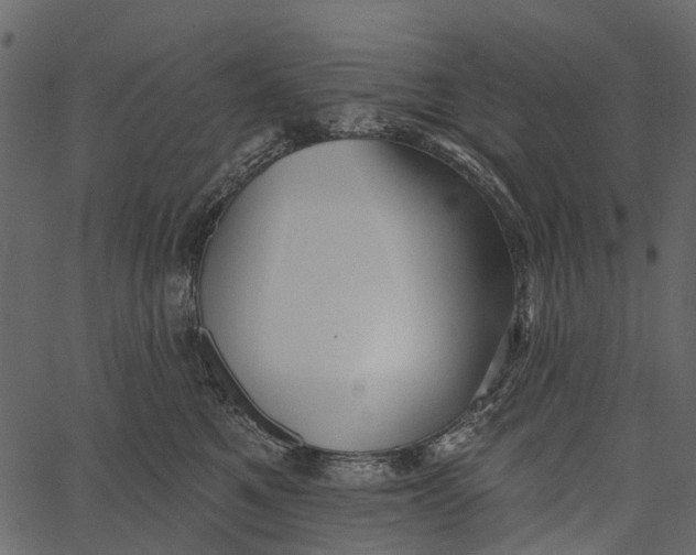 X0000062640521200601111129