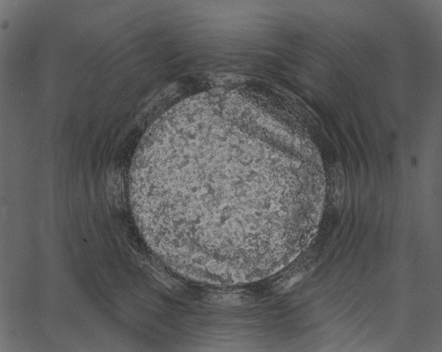 X0000062640523200601111129