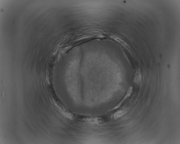 X0000062640524200601111129