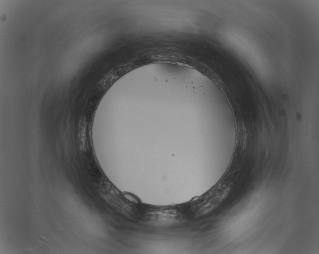 X0000062640525200601111129