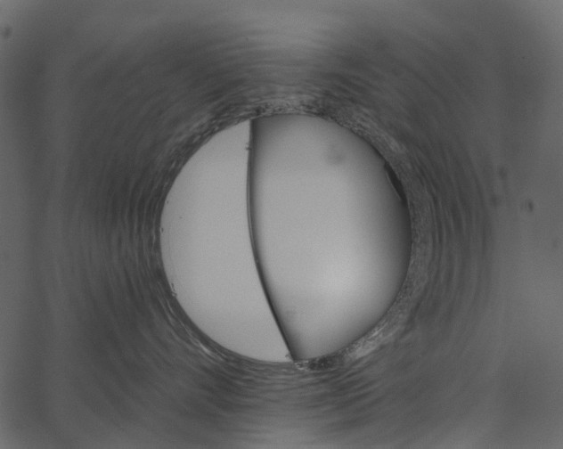 X0000062640528200601111129