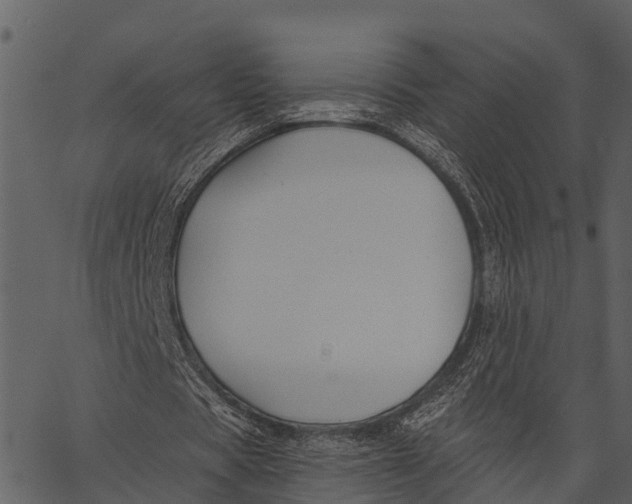 X0000062640529200601111128