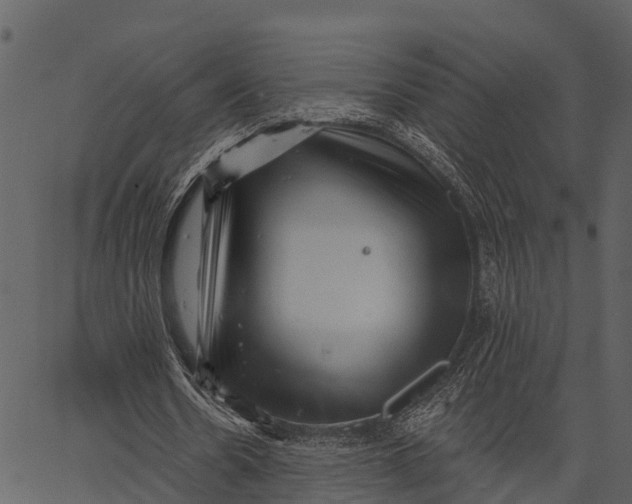 X0000062640530200601111128