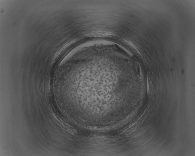 X0000062640531200601111128