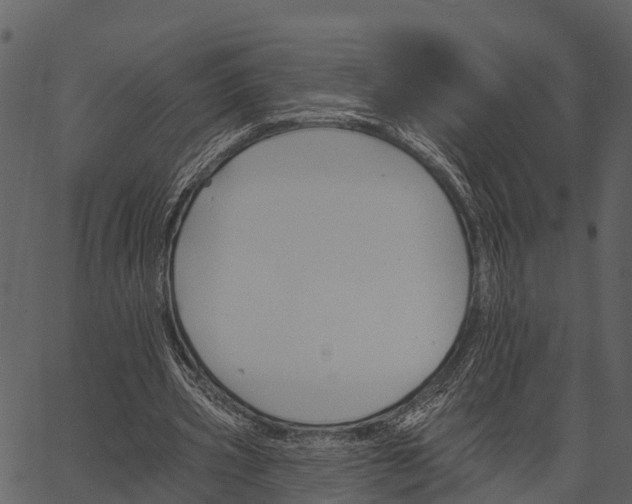 X0000062640533200601111128