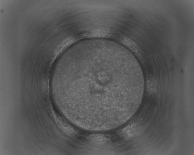 X0000062640534200601111128