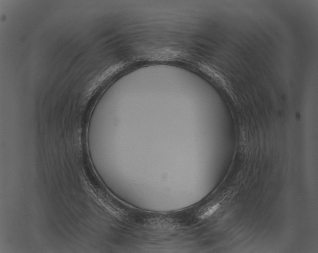 X0000062640535200601111128