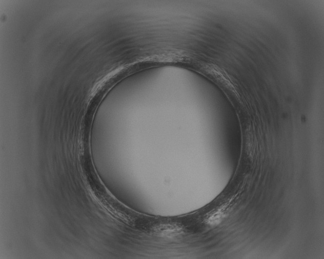 X0000062640536200601111128