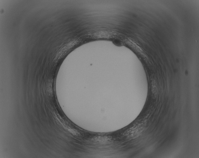 X0000062640537200601111128