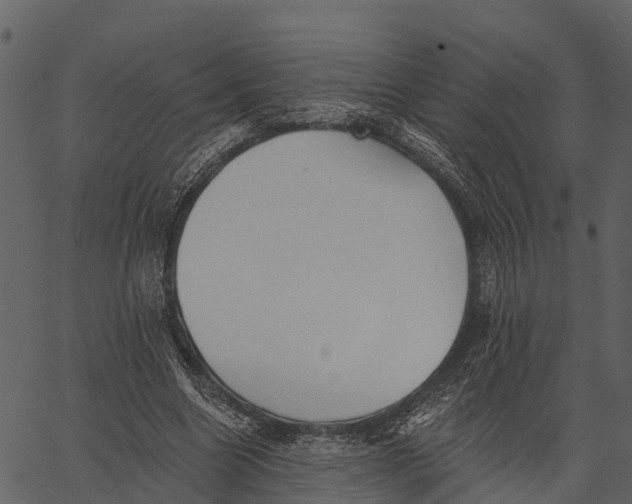 X0000062640538200601111128