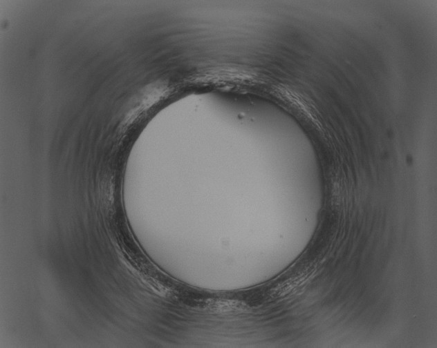 X0000062640539200601111128