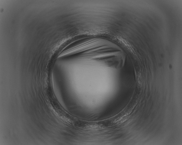 X0000062640540200601111128