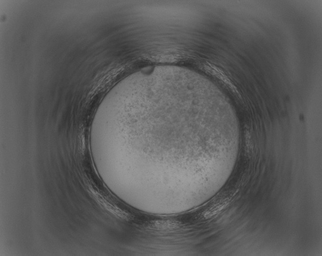 X0000062640541200601111128