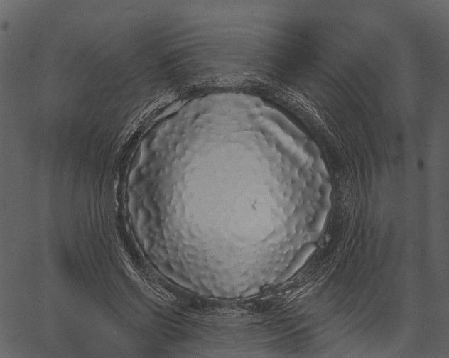 X0000062640542200601111128