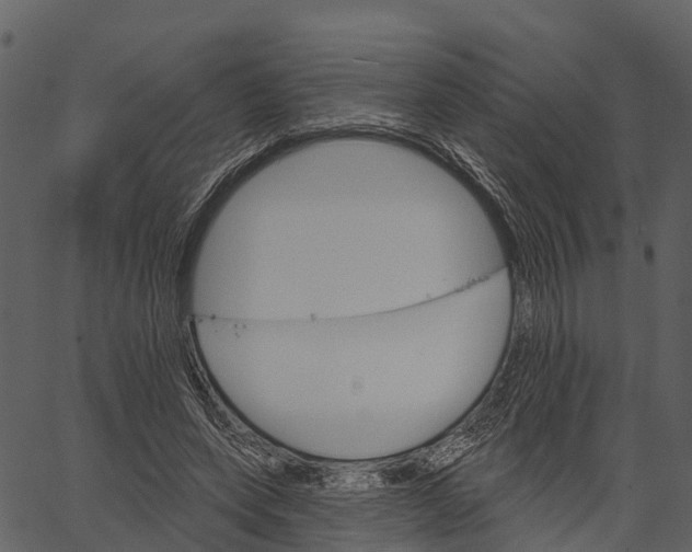 X0000062640543200601111128