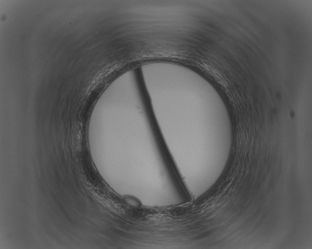 X0000062640544200601111128