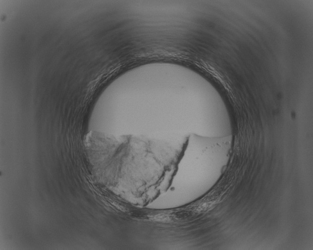 X0000062640545200601111128