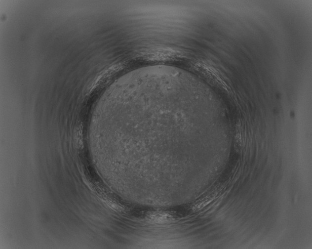 X0000062640547200601111128