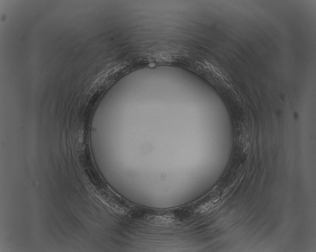 X0000062640548200601111128