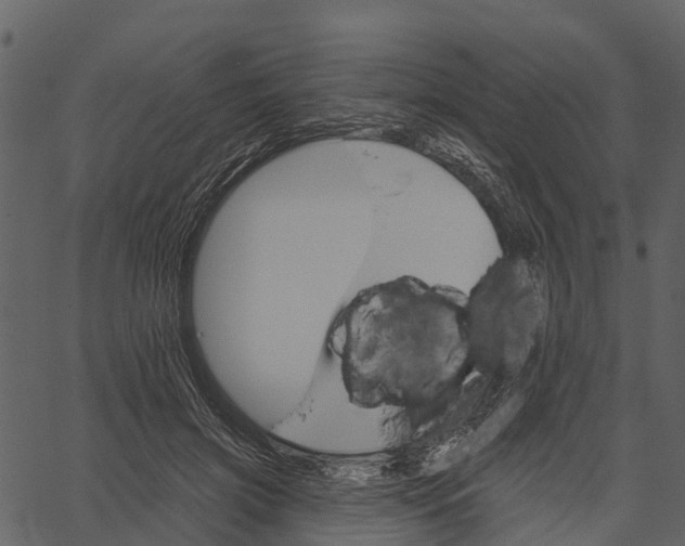 X0000062640549200601111128